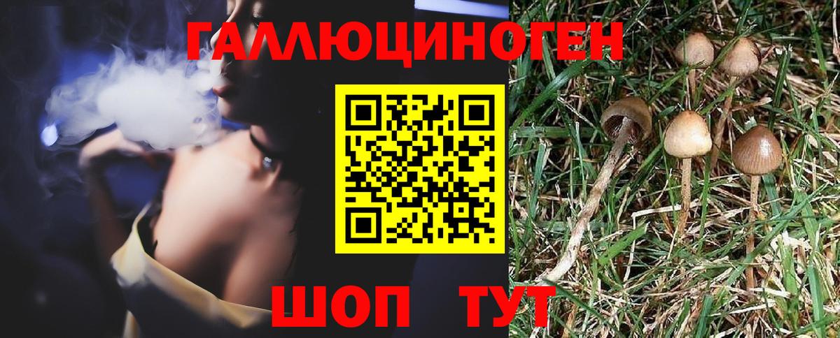 Галлюциногенные грибы MAGIC MUSHROOMS Россошь