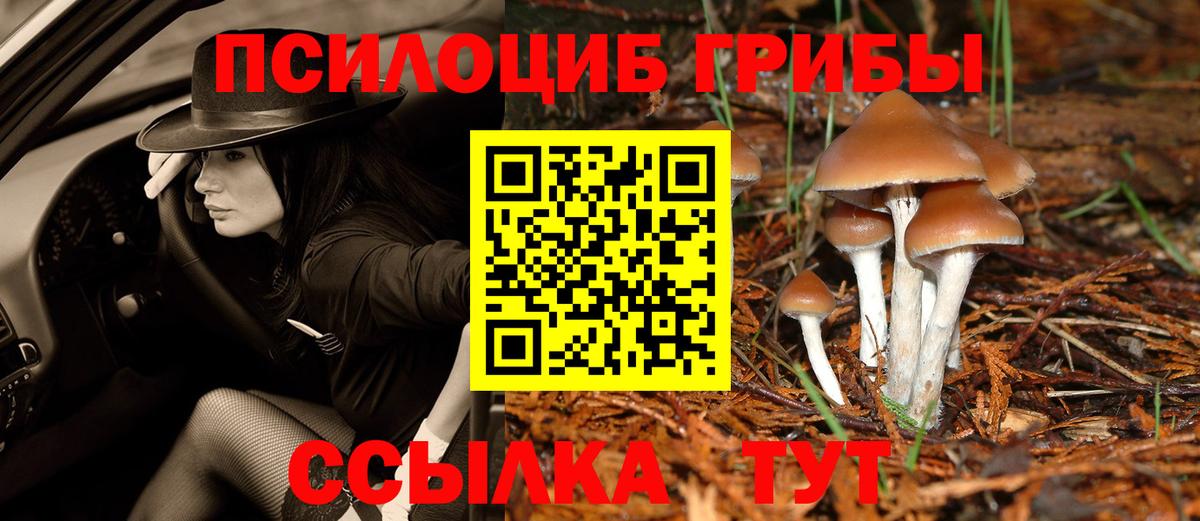 Галлюциногенные грибы Psilocybe  Вход с VPN  Россошь 